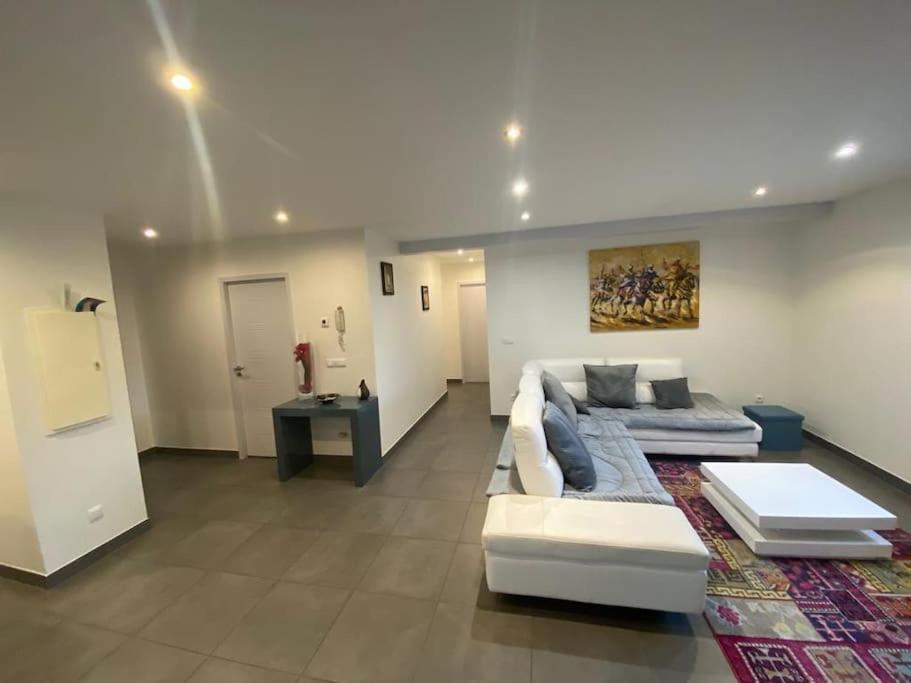 Appartement Belle Vue Sur Les Montagnes Saint-Pierre-en-Faucigny Exterior foto